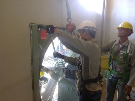 CHP II Project (Phase II)